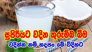 ගෙදර හදපු කුරුම්බා අරක්කු |How to make Toddy from Coconut Water | Lockdown| Bachelor Cooking Recipes