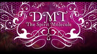 DMT: The Spirit Molecule (2010) [multi subs]