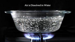 How will you show that Air is dissolved in Water/Solubility of Air in Water