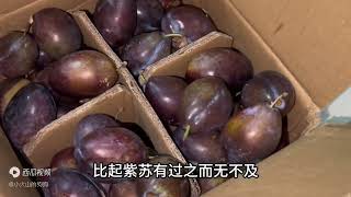 不知道用假蒌叶可以炒田螺，算不算真正的广西人呢？