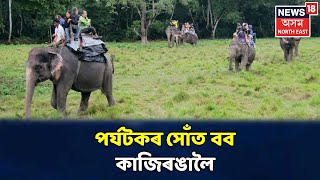 Kazirangaত হাতী ছাফাৰী, পৰ্যটকে আনন্দ লোৱা দেখা পোৱা যায়