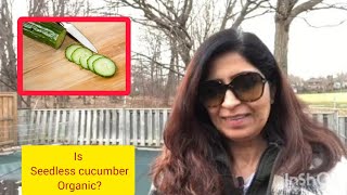 Q\u0026A❓ Is Seedless cucumber (Chineseਖੀਰਾ) Organic? Q\u0026A MITHI JAIL PODCAST #punjabipodcast #organicfood