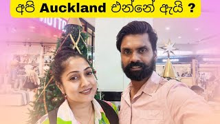 අපි ඇයි Auckland එන්නේ ? | පරිප්පුවක් කන්න යන්න දුරක් | එයාලා දැන්මම  නත්තලට ලෑස්ති වෙනවා 🌲🌷 🧑‍🎄