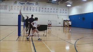 Read Defense - Volleyball Alberta Coaching Symposium 2018