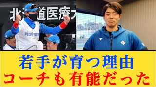 日本ハムの若手が育つ理由、コーチも有能だったと判明する #北海道日本ハムファイターズ #新庄剛志 #谷内亮太