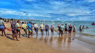 🙆‍♂️ இத பாருங்க *FISH* சாப்பிட இவ்ளோ கழுகு,கொக்கா🤯 | Wind Fisherman