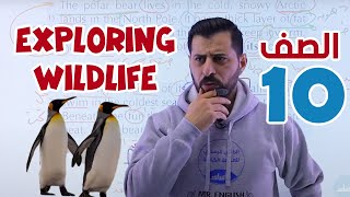 أول درس (Exploring wildlife) للصف العاشر (الفصل الثاني)|| إنجليزي - مع أ. #عصام_الشرباتي