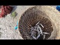 খেবলা জাল দিয়ে ঘের থেকে অনেক মাছ ধরলাম village fishing community