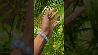 ඔන්න ළමයි අලුත් stock එකක් ආවා ,ඔයාලාට මේ bracelet දැන් ගන්න පුලුවන් කොල්ලො ,කෙල්ලො දෙගොල්ලන්ටම 😍