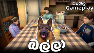 ඔළුව කරකවල අතාරින ගේම් එකක් 😨 | THE DOG SINHALA GAMEPLAY (FULL GAME)