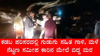 ಕಡಬ ಪರಿಸರದಲ್ಲಿ ಗುಡುಗು ಸಹಿತ ಗಾಳಿ, ಮಳೆ - ನೆಟ್ಟಣ ಸಮೀಪ ಕಾರಿನ ಮೇಲೆ ಬಿದ್ದ ಮರ