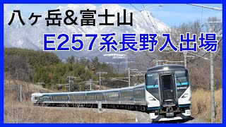 【武田菱も消滅？】E257系2000番台13編成に！0番台が長野入場!?