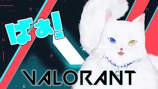 【VALORANT】　リラックスして～？そうよ～？深呼吸～～　【猫道院かんら】