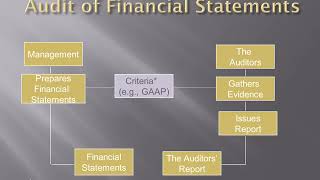 Auditing BU5550 Chapter 1 Role of the auditor