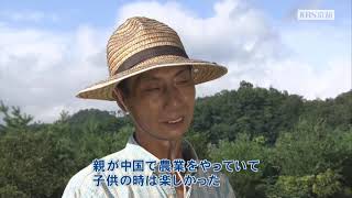 KBS京都テレビ 「あぐり京都」　JA京都「九条ねぎ」高橋さん (京丹後市)　2020年8月放送