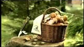 Velkopopovicky Kozel - dej kozla do kosiku.wmv