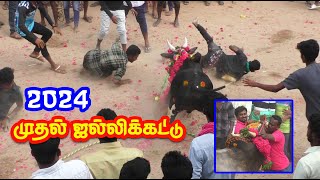 2024 முதல் ஜல்லிக்கட்டு... Tamizhan Trending