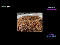 【smile美食】台南佳里~~劉家姊妹肉粽 超美味