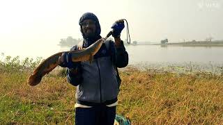 Fishing 📍 Kinnerasani reservoir @Palwancha |@Fisherman_brahmam