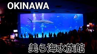 沖縄 美ら海水族館は こんなとこ #ジンベイザメ #ウミガメ #イルカショー #クラゲ #okinawa #aquarium #美ら海水族館