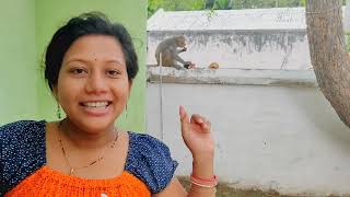 ମାଙ୍କଡ଼ ଖାଇଲା ତରଭୁଜ 😍 // Lopadidi // odia vlog // monkey video