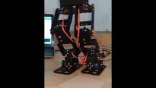 8 dof Bipedal Robot Walking