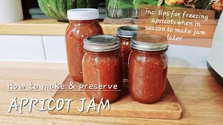 APRICOT JAM ❄️🍑 | How to Make and Preserve Apricot Jam from frozen apricots