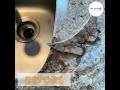 Fixing a huge chip on granite countertop