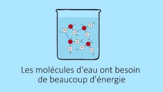 Les propriétés de l'eau | FuseSchool + Unisciel