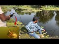 Underwater fishing Live🔴 || prawn fishing in the river