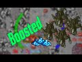 Boosted creature in Tibia | How good is mini roshamuul today?