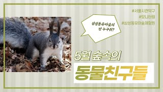 [삼성동유아숲체험원]5월 모니터링 동물친구들