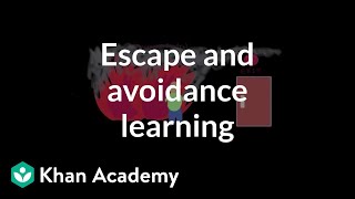 Operant conditioning: Escape and avoidance learning | Behavior | MCAT | Khan Academy