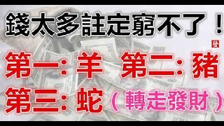 6月錢太多註定窮不了的生肖，轉走發財 - 十二生肖