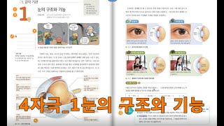 4자극과 반응_1눈의 구조와 기능