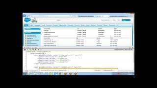 Apex Programming Tutorials Examples of Custom Controllers