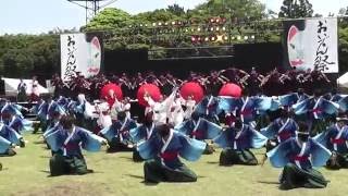 第17回　豊川よさこいinおいでん祭　お茶ノ子祭々　メイン会場