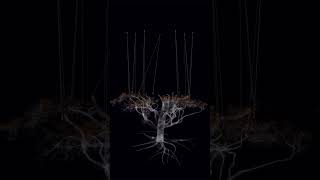 Generative art by Alex Guevara