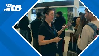 Microsoft Azure outage disrupts Alaska Airlines' website, app