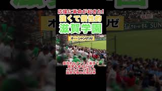 奇跡レベルで凄い滋賀学園の神応援！甲子園アルプス席に野次馬殺到！