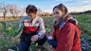 Agricoltura Biologica dal 1987: La Storia di Bio Bonatti tra Tradizione, Innovazione e Biodiversità