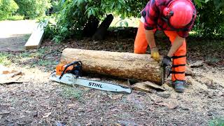 Como divertirse con una motosierra, STIHL MS660 MAGNUM