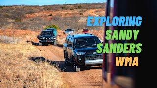 Jeep Day Trip: Exploring Sandy Sanders WMA