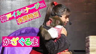 神戸イルミナージュ特別公演　かざぐるま🧡　猿まわし🐵💝　二助企画