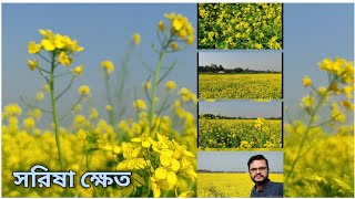 সরিষা ক্ষেত | Mustard Field [2021]