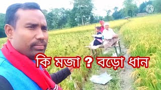 বহুত কষ্টৰ মাজত বড়ো ধান খেতি কৰি আজি