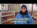 일요일 생생인터뷰 정호익 조교사