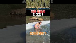 얼음이 썩는다고 ?