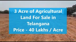 Telangana : 3 Acre of Agricultural Land For Sale Located At Pamanagundla, Nalgonda District