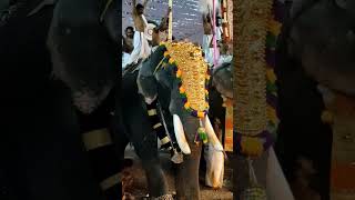 🐘LE ദാസപ്പൻ: ഒരിളക്കത്തിന് പുറകിലുള്ളവന് മനസ്സിലായി. ഇവന് രണ്ടു മൂന്ന് ഇളക്കം വേണ്ടി വരും!! #aana